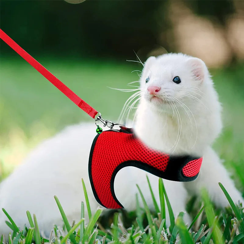 Harnais Respirant Petits Animaux